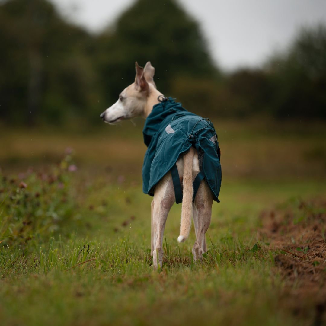 Fjord Lined Non-stop Dogwear